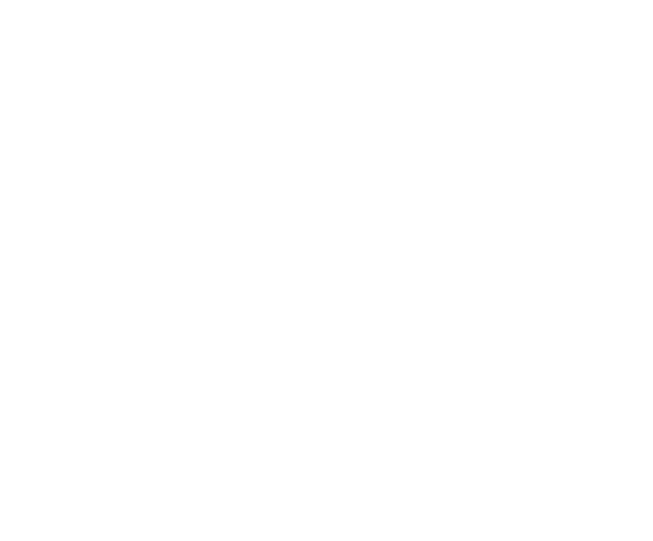 RAYS Logo